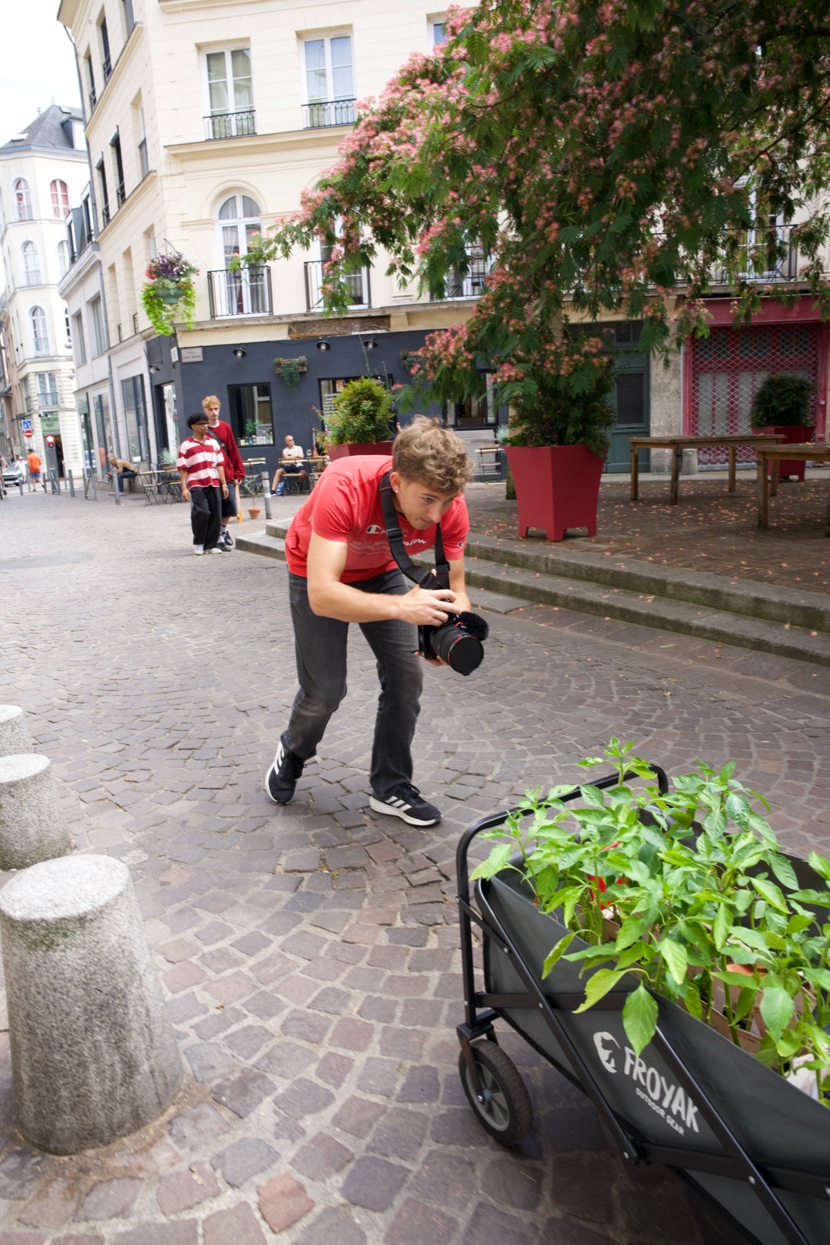 L'équipe Piment tire un chariot rempli de plants de piment dans une rue du centre de Rouen